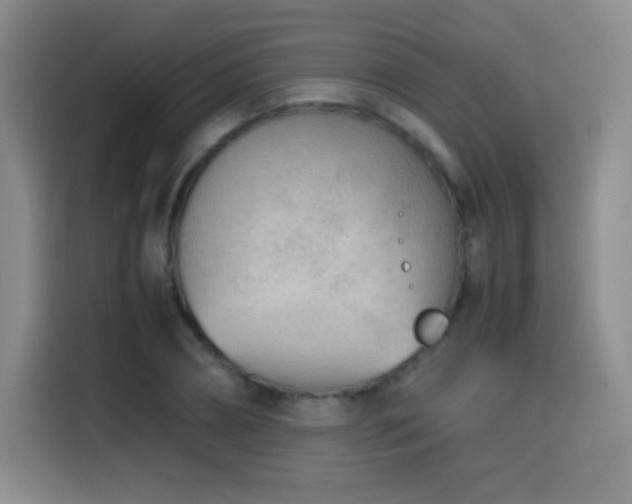 X0000114600882200910191616