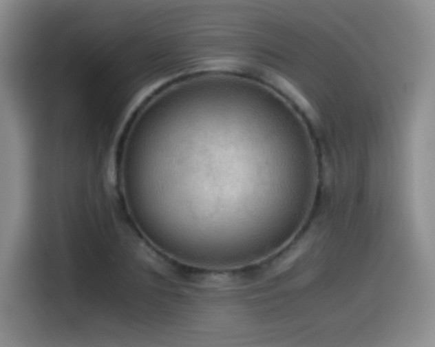 X0000114600883200910191616