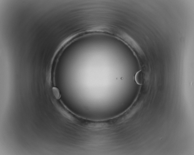 X0000114600884200910191616