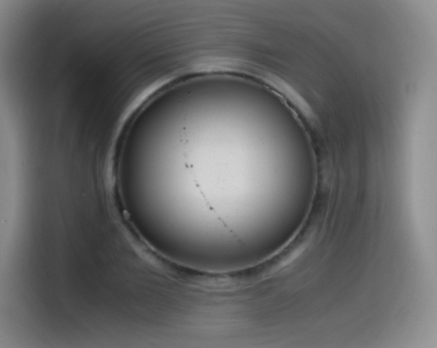 X0000114600885200910191616