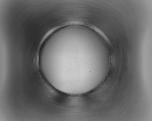 X0000114600886200910191616