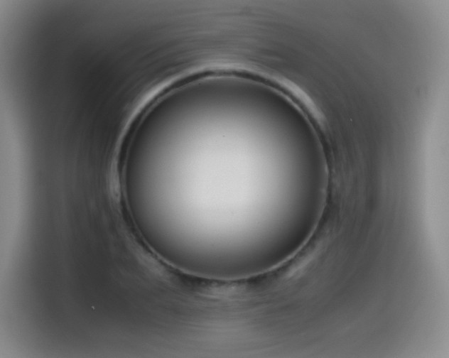 X0000114600887200910191616