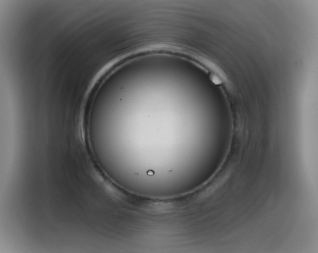 X0000114600888200910191616