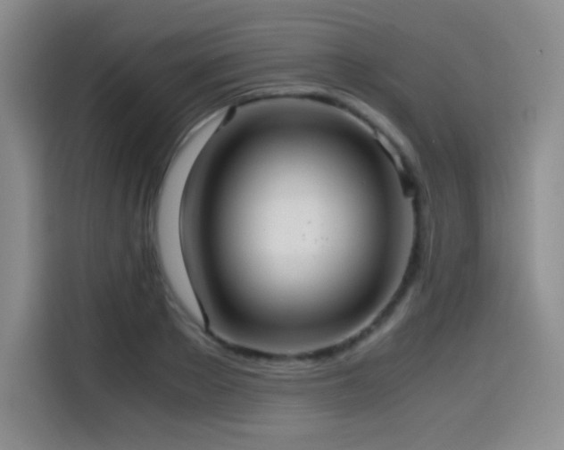 X0000114600889200910191616