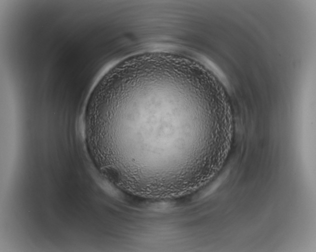 X0000114600891200910191616