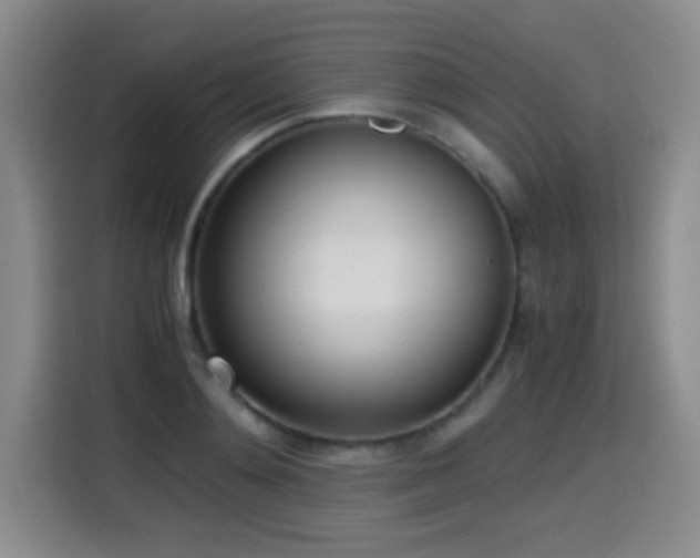 X0000114600892200910191616