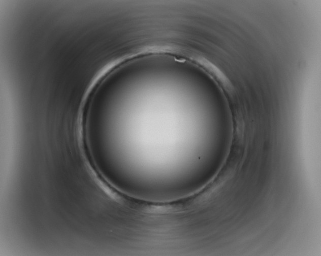 X0000114600894200910191616