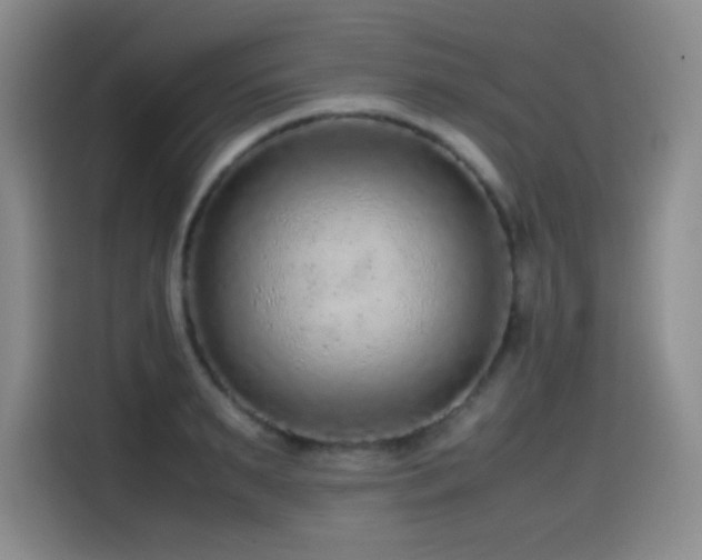 X0000114600895200910191616