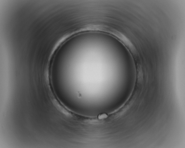 X0000114600896200910191616