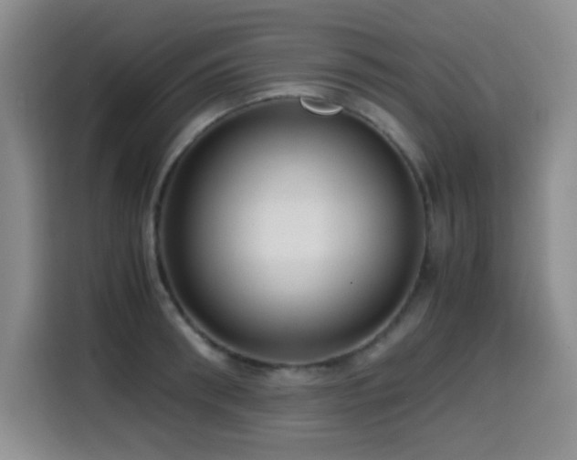 X0000114600898200910191616