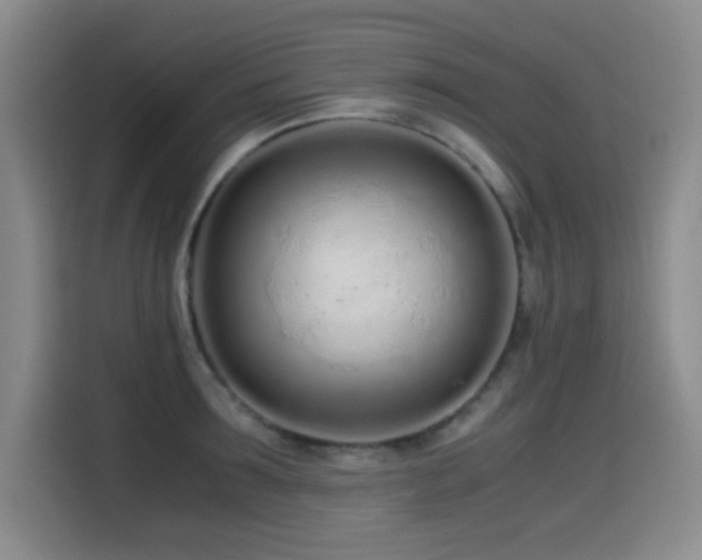 X0000114600899200910191616