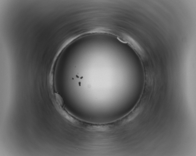 X0000114600900200910191616