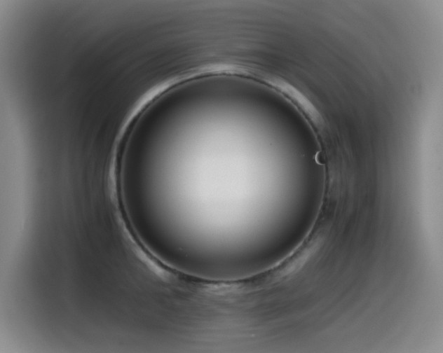 X0000114600902200910191616