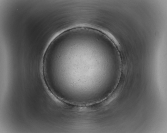 X0000114600903200910191616