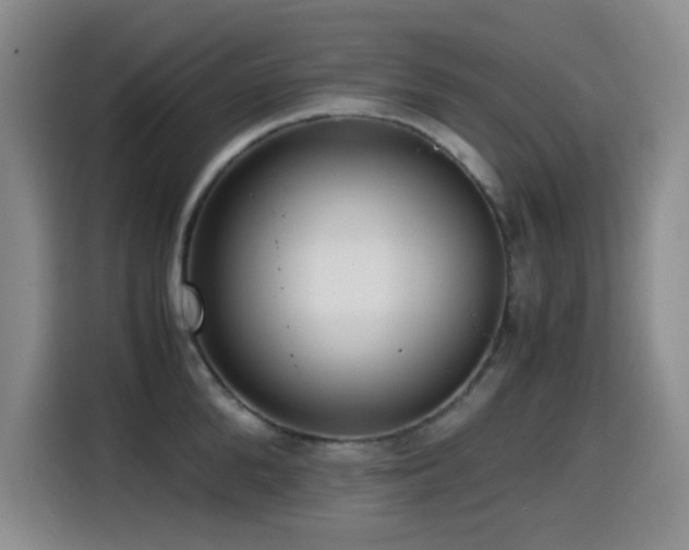 X0000114600904200910191616