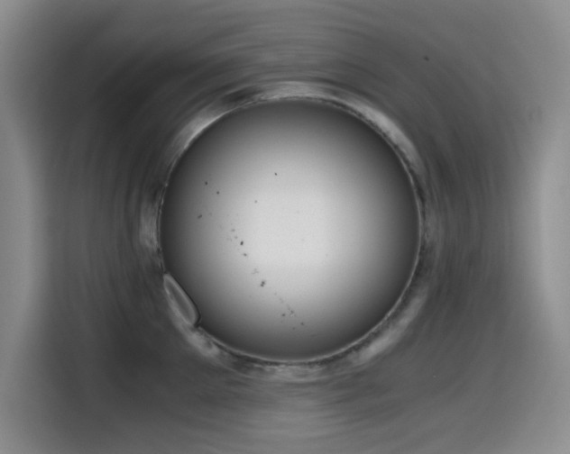 X0000114600905200910191616