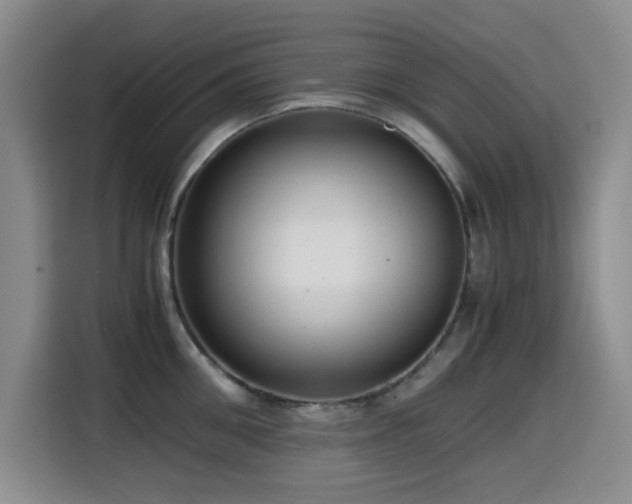 X0000114600906200910191616