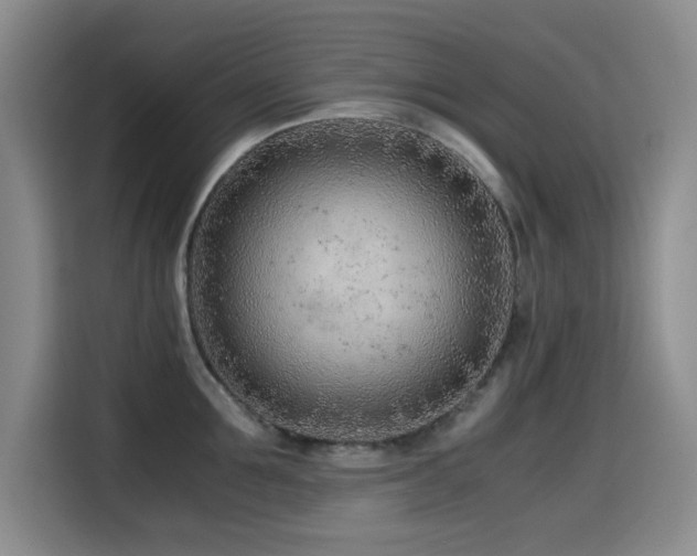 X0000114600907200910191616