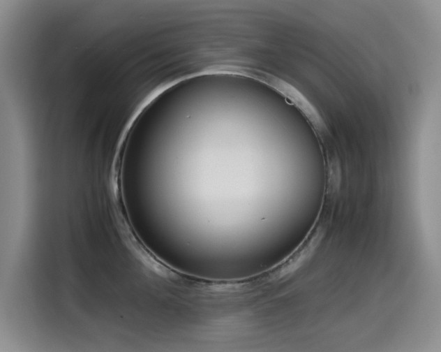 X0000114600908200910191616