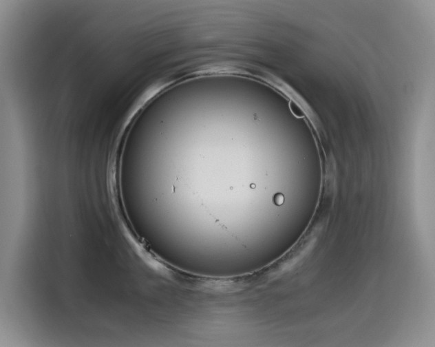 X0000114600909200910191616