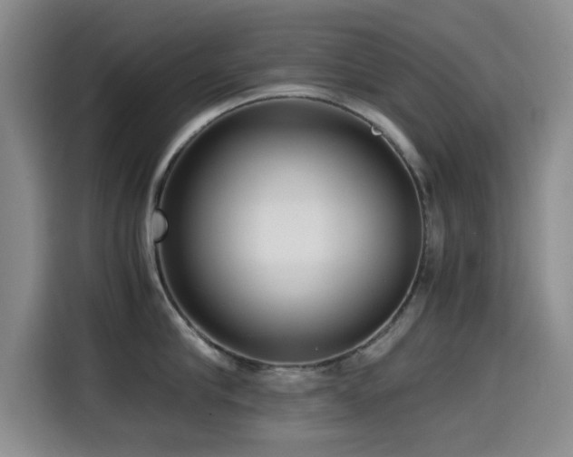 X0000114600910200910191616