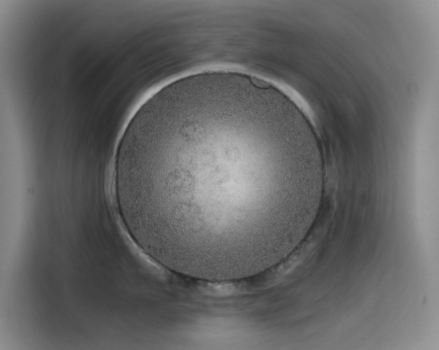 X0000114600911200910191616