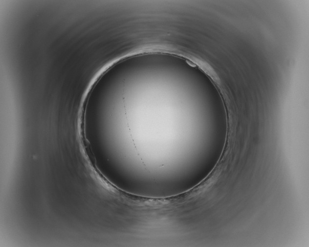 X0000114600912200910191616