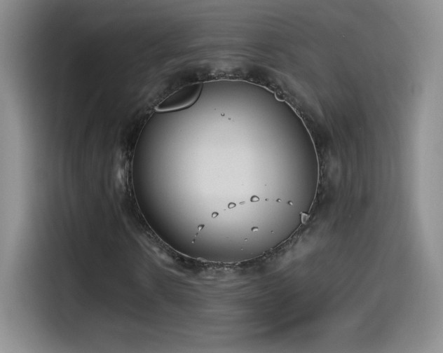 X0000114600914200910191615