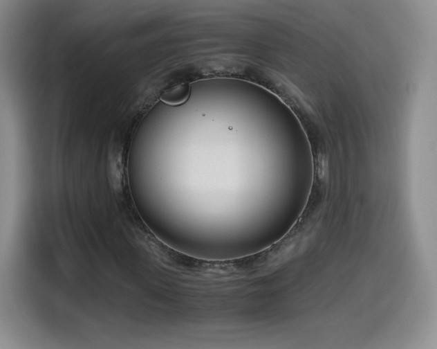 X0000114600915200910191615