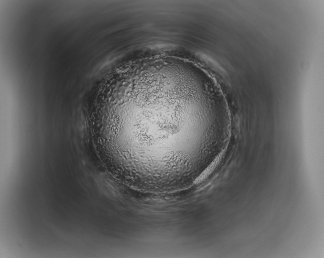 X0000114600917200910191615