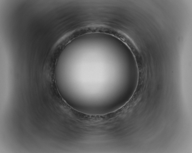 X0000114600919200910191615