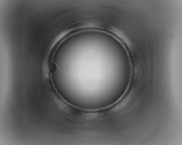 X0000114600925200910191615