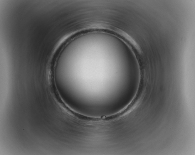 X0000114600926200910191615