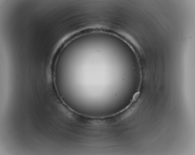 X0000114600927200910191615