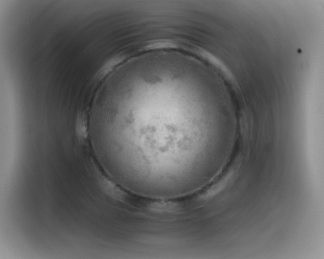 X0000114600929200910191615