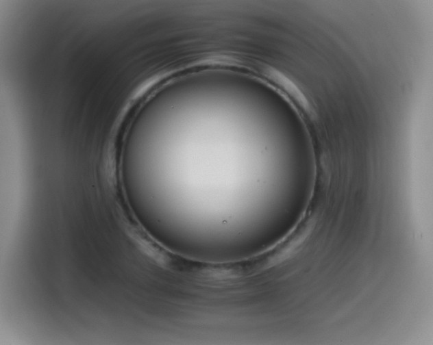 X0000114600931200910191615