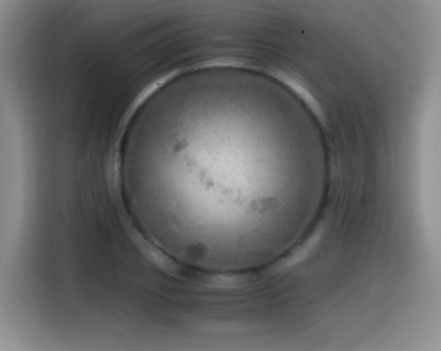 X0000114600933200910191615