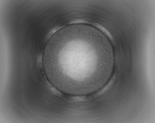 X0000114600937200910191615