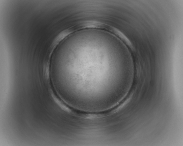 X0000114600938200910191615