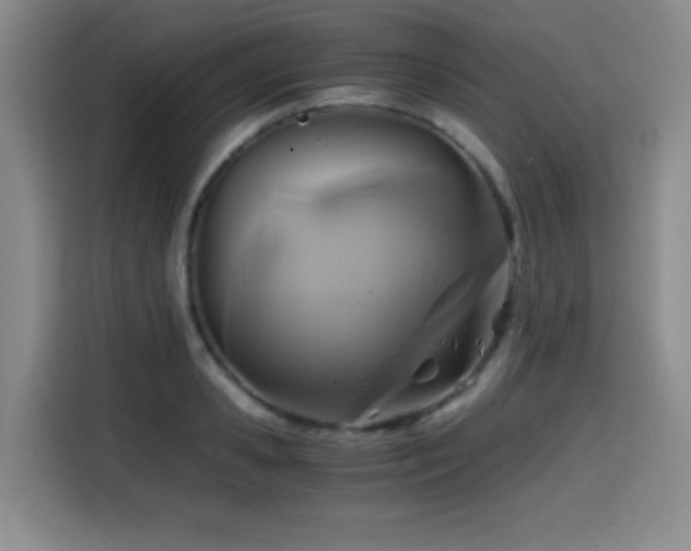 X0000114600941200910191615