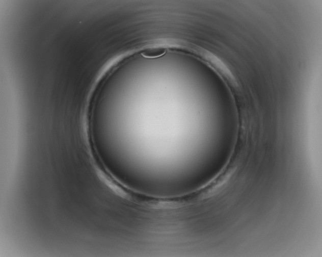 X0000114600942200910191615