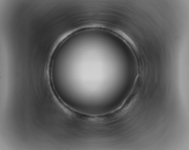 X0000114600943200910191615