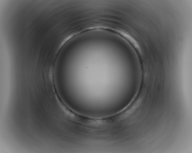 X0000114600945200910191615