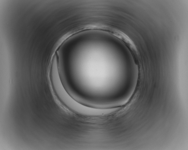 X0000114600946200910191615