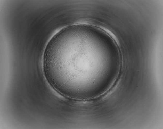 X0000114600949200910191616