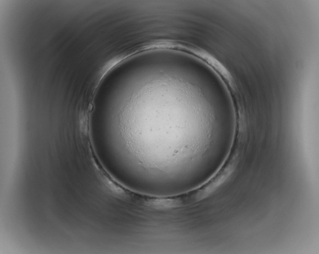 X0000114600953200910191616