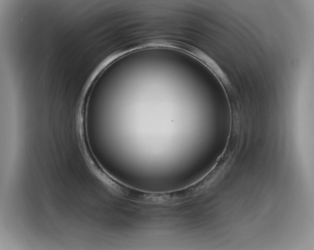 X0000114600955200910191616