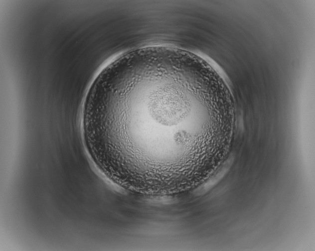 X0000114600957200910191616