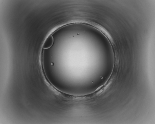 X0000114600958200910191616