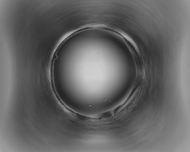 X0000114600959200910191616